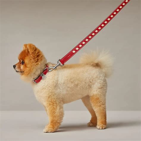 hermes dog collar and leash.